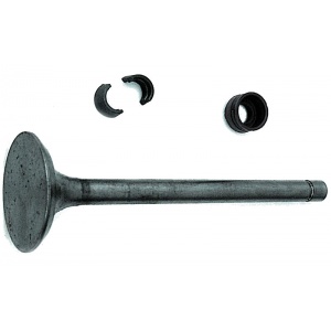 Купить клапан впускной R6002SCR Ford Focus 1 1998-2005/ Fusion/ Mondeo 1996-2007 в магазине Авто Америка Красноярск